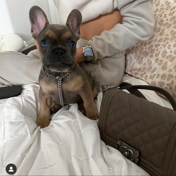 Meet your Posher - Picture 14 of 16